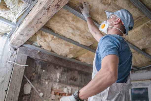 Best Insulation Materials and Products in Crewe, VA